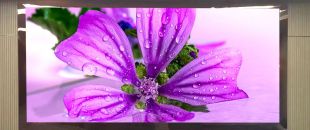 連鎖火鍋店老板哭訴：門頭LED廣告機(jī)讓我多賺了110萬，但千萬別學(xué)我踩這3個(gè)坑！”