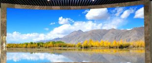 “海外客戶最關心的LED屏參數:不是分辨率，而是這個..